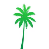 Green palm tree isolated on white background. Palm silhouette vector