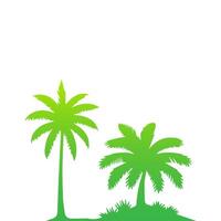 Green palm tree isolated on white background. Palm silhouette vector
