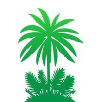 Green palm tree isolated on white background. Palm silhouette vector