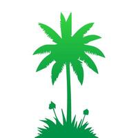 Green palm tree isolated on white background. Palm silhouette vector