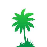 Green palm tree isolated on white background. Palm silhouette vector