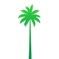 Green palm tree isolated on white background. Palm silhouette vector