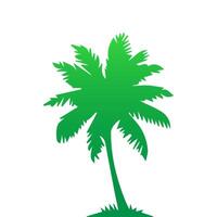 Green palm tree isolated on white background. Palm silhouette vector
