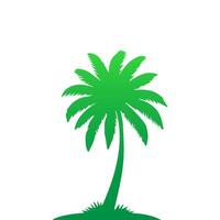 Green palm tree isolated on white background. Palm silhouette vector
