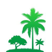 Green palm tree isolated on white background. Palm silhouette vector