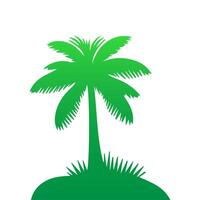Green palm tree isolated on white background. Palm silhouette vector