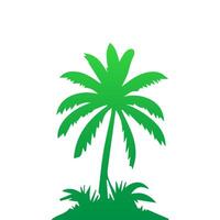 Green palm tree isolated on white background. Palm silhouette vector