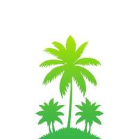 Green palm tree isolated on white background. Palm silhouette vector