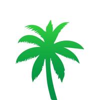 Green palm tree isolated on white background. Palm silhouette vector