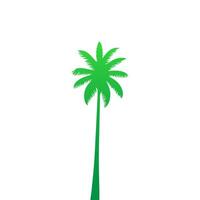 Green palm tree isolated on white background. Palm silhouette vector