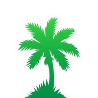 Green palm tree isolated on white background. Palm silhouette vector