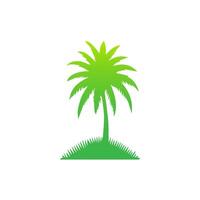 Green palm tree isolated on white background. Palm silhouette vector