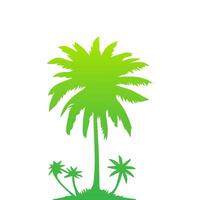 Green palm tree isolated on white background. Palm silhouette vector