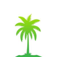 Green palm tree isolated on white background. Palm silhouette vector