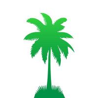Green palm tree isolated on white background. Palm silhouette vector
