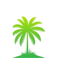 Green palm tree isolated on white background. Palm silhouette vector