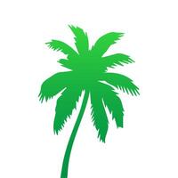 Green palm tree isolated on white background. Palm silhouette vector