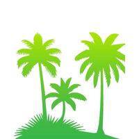 Green palm tree isolated on white background. Palm silhouette vector