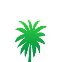 Green palm tree isolated on white background. Palm silhouette vector