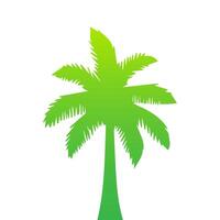 Green palm tree isolated on white background. Palm silhouette vector
