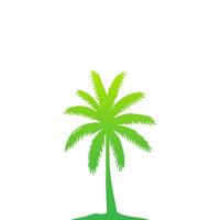 Green palm tree isolated on white background. Palm silhouette vector