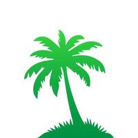 Green palm tree isolated on white background. Palm silhouette vector