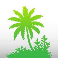 Green palm tree isolated on white background. Palm silhouette vector