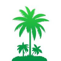 Green palm tree isolated on white background. Palm silhouette vector