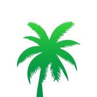 Green palm tree isolated on white background. Palm silhouette vector