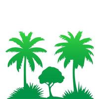 Green palm tree isolated on white background. Palm silhouette vector
