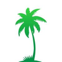 Green palm tree isolated on white background. Palm silhouette vector