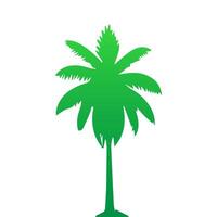 Green palm tree isolated on white background. Palm silhouette vector