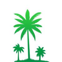 Green palm tree isolated on white background. Palm silhouette vector