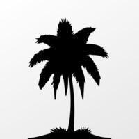 Black palm tree isolated on white background. Palm silhouette vector