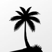 Black palm tree isolated on white background. Palm silhouette vector