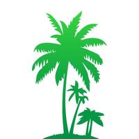 Green palm tree isolated on white background. Palm silhouette vector