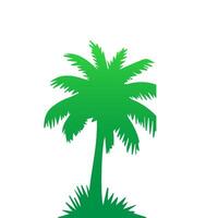 Green palm tree isolated on white background. Palm silhouette vector