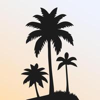 Black palm tree isolated on white background. Palm silhouette vector
