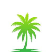Green palm tree isolated on white background. Palm silhouette vector