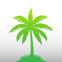 Green palm tree isolated on white background. Palm silhouette vector