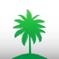 Green palm tree isolated on white background. Palm silhouette vector