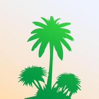 Green palm tree isolated on white background. Palm silhouette vector
