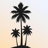 Black palm tree isolated on white background. Palm silhouette vector