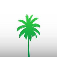 Green palm tree isolated on white background. Palm silhouette vector
