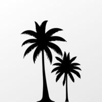 Black palm tree isolated on white background. Palm silhouette vector