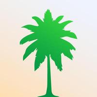 Green palm tree isolated on white background. Palm silhouette vector