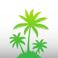 Green palm tree isolated on white background. Palm silhouette vector
