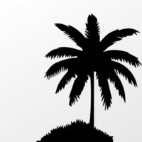 Black palm tree isolated on white background. Palm silhouette vector