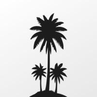 Black palm tree isolated on white background. Palm silhouette vector