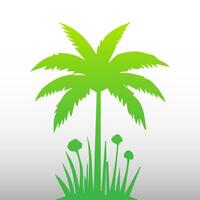 Green palm tree isolated on white background. Palm silhouette vector